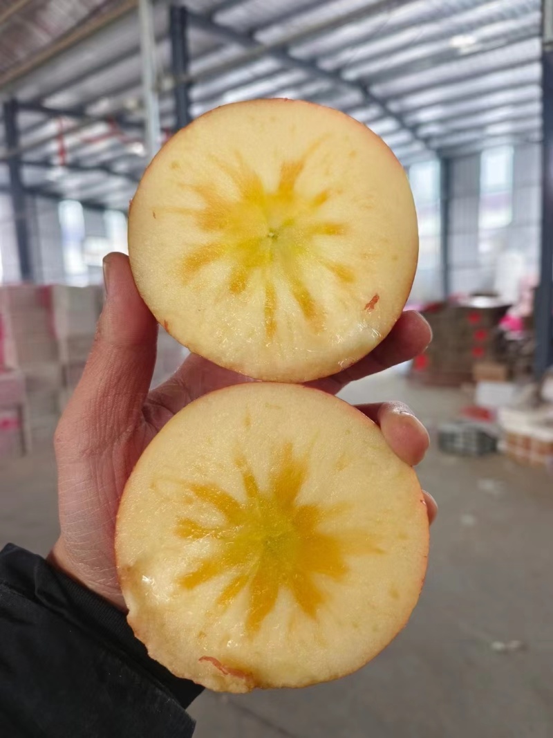 山西冰糖心苹果