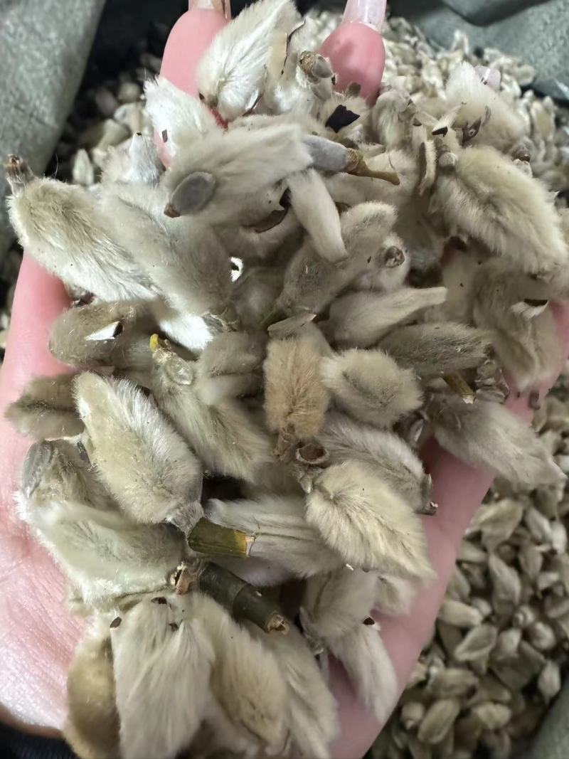辛夷花大桃规格万信药业只做精品药材地道药材