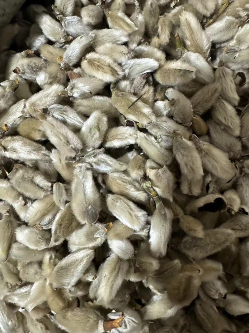 辛夷花大桃规格万信药业只做精品药材地道药材