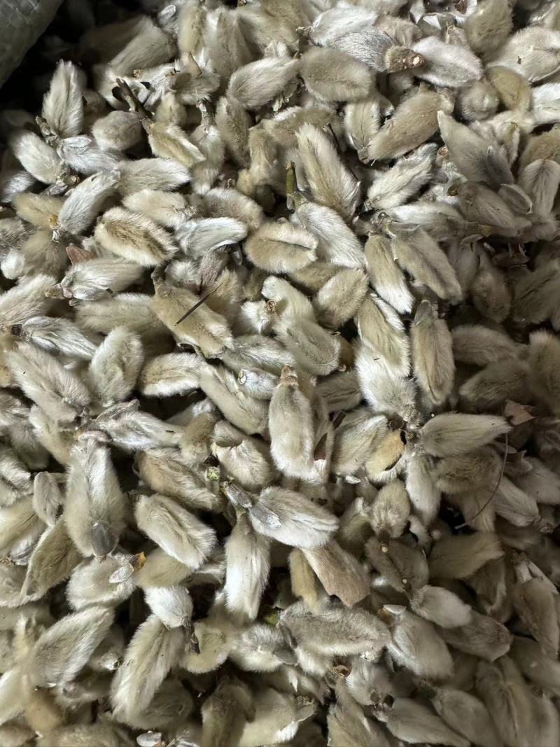 辛夷花大桃规格万信药业只做精品药材地道药材