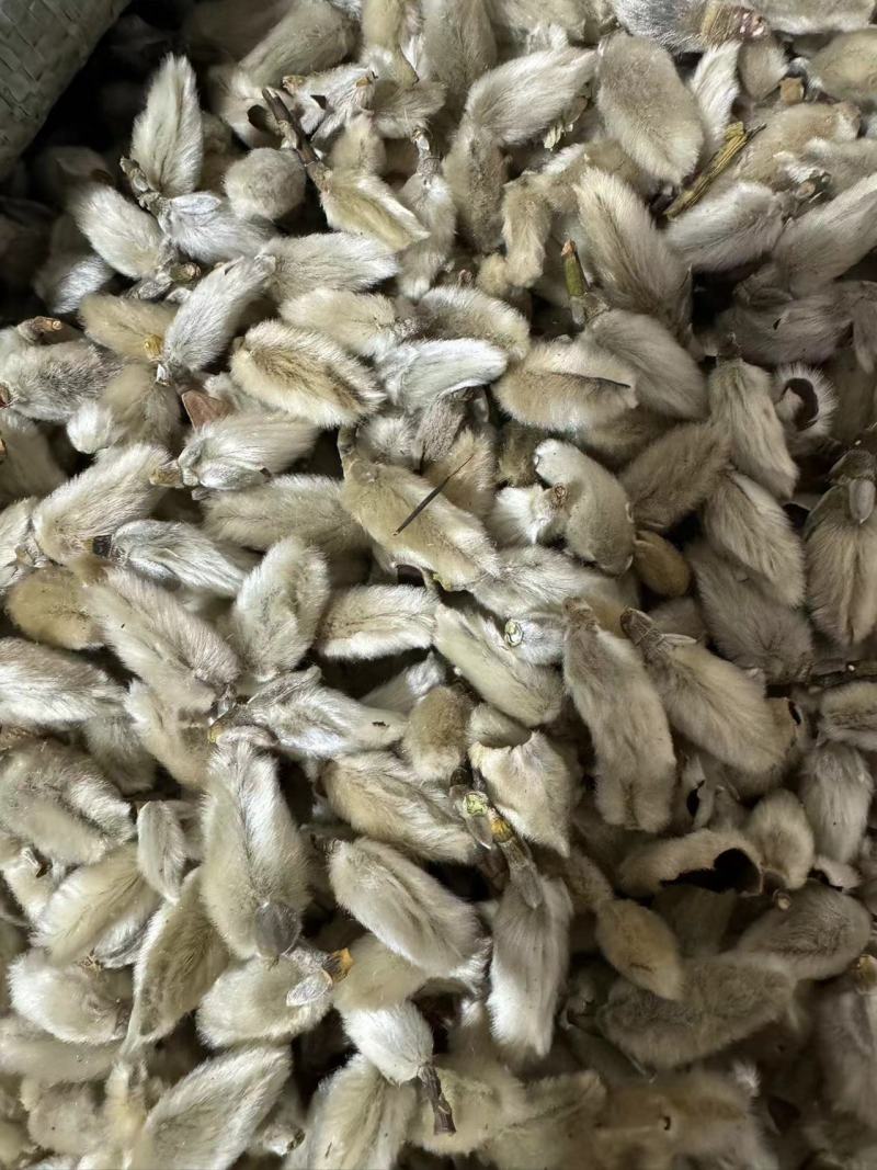 辛夷花大桃规格万信药业只做精品药材地道药材