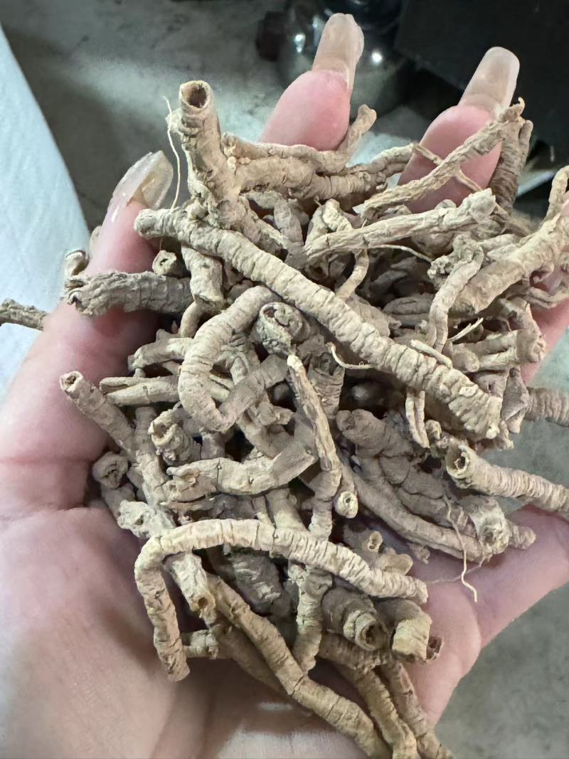 远志筒精品远志抽芯率98%万信药业只做精品从优