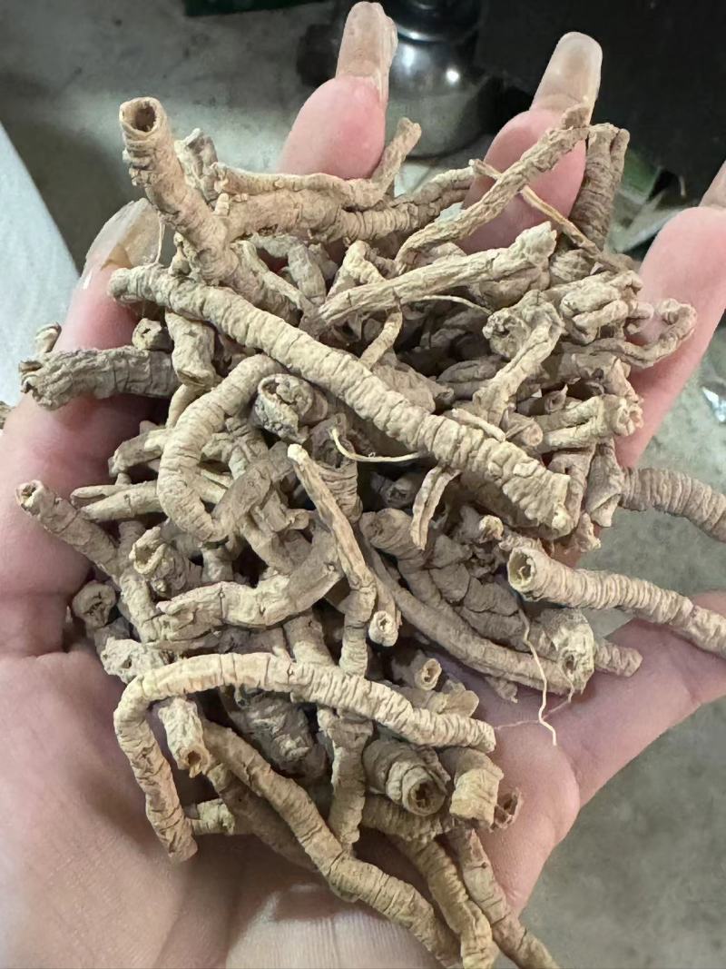 远志筒精品远志抽芯率98%万信药业只做精品从优