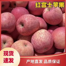 【甄选】山西红富士苹果，产区现货直发，口感脆甜，价格公道