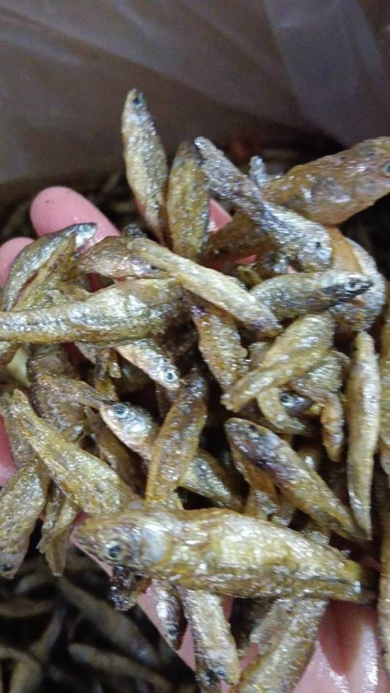 新鲜美味！精选干虾，营养丰富，口感鲜美，健康美味，值得品尝！