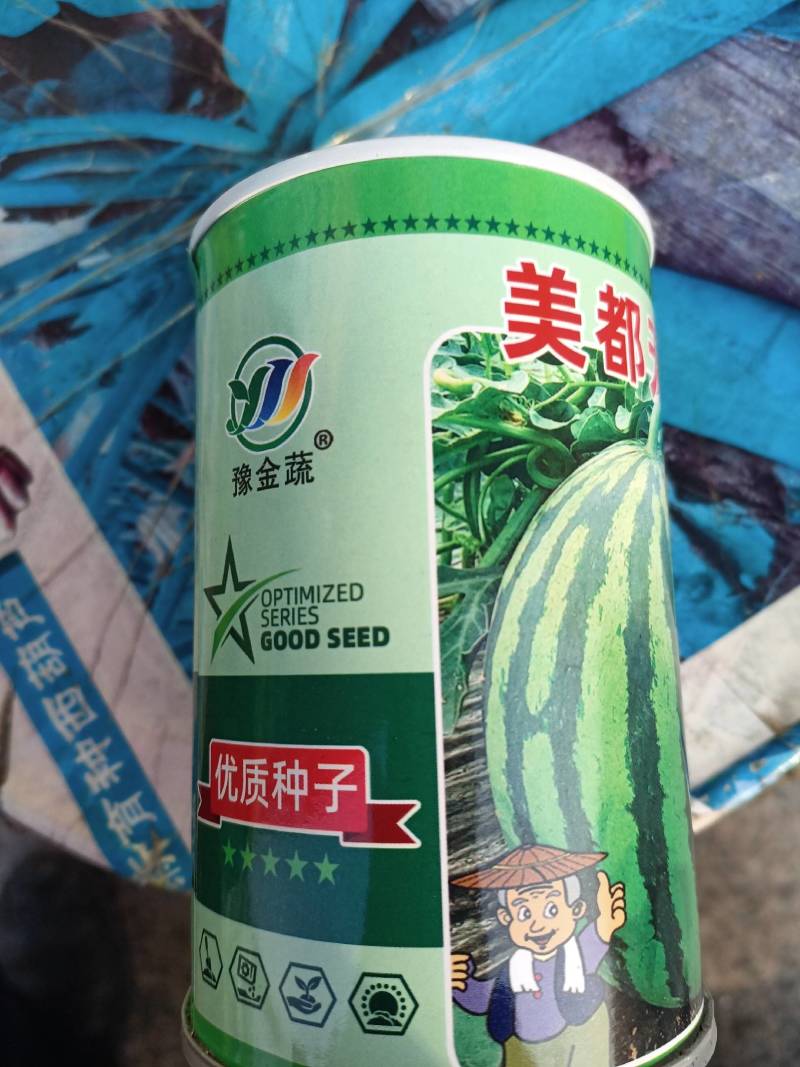 西瓜种子美都无籽免嫁接抗重茬皮韧抗裂大红瓤高糖个大