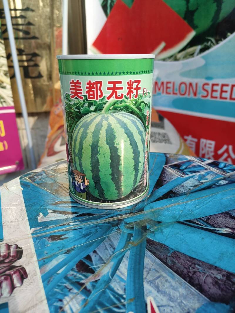 西瓜种子美都无籽免嫁接抗重茬皮韧抗裂大红瓤高糖个大