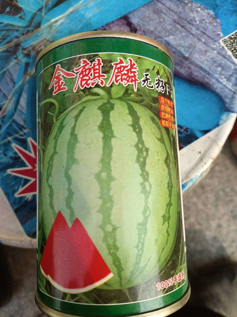 金麒麟无籽西瓜种子大红瓤皮韧抗裂耐运个大品质好