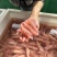 厂家直销：一手货源.鱿鱼、火箭鱿鱼