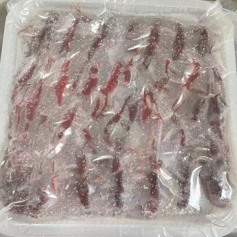 新宏业出品，清水调味各规格液氮锁鲜虾货源充足，欢迎砸单