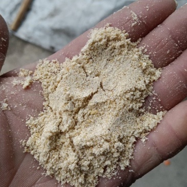 养殖用纯玉米粉