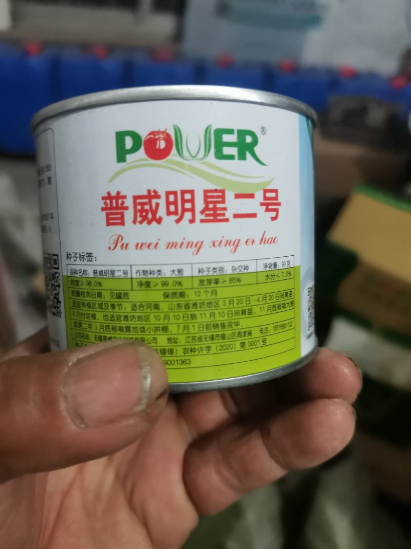 葱苗