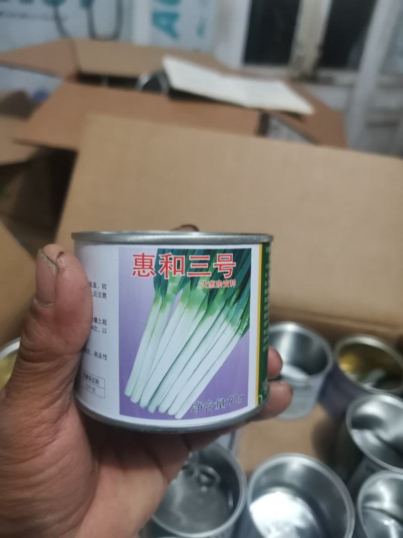 葱苗