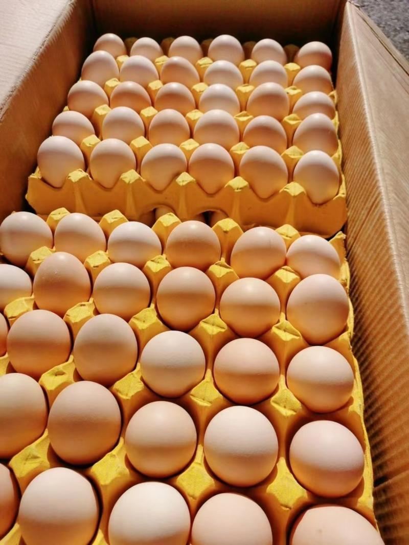 精品土鸡蛋大量供应产地直发保质保量，养殖基地直发各种规格