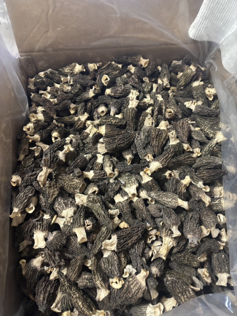 羊肚菌5到8公分量大从优