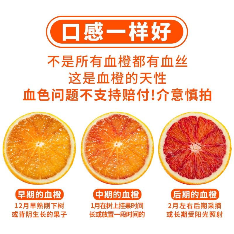 重庆血橙生长在长江边原生态自然成熟口感爆棚欢迎品尝