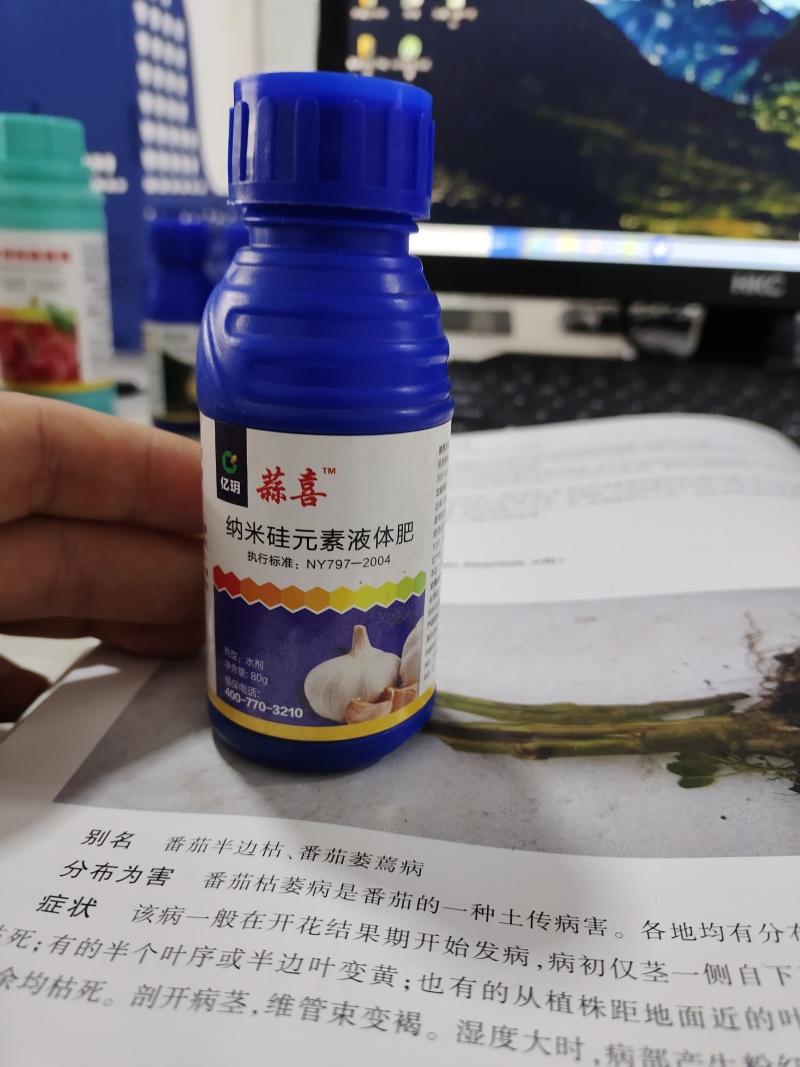 蒜喜抗重茬控旺膨大提前10天上市抗旱抗涝