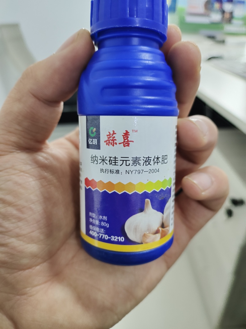 蒜喜抗重茬控旺膨大提前10天上市抗旱抗涝