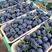 蓝莓北陆薄雾莱克西蓝莓品种齐全产地直发全国发货