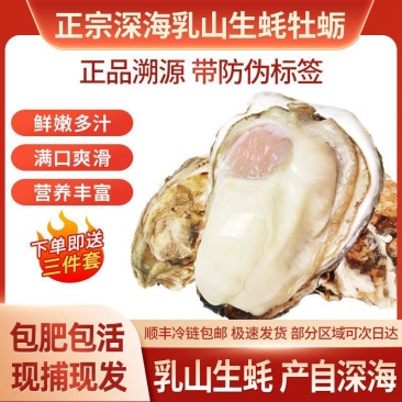 现捕乳山生蚝鲜活大牡蛎带壳贝类海蛎子鲜活海鲜水产批发5斤