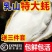 现捕乳山生蚝鲜活大牡蛎带壳贝类海蛎子鲜活海鲜水产批发5斤