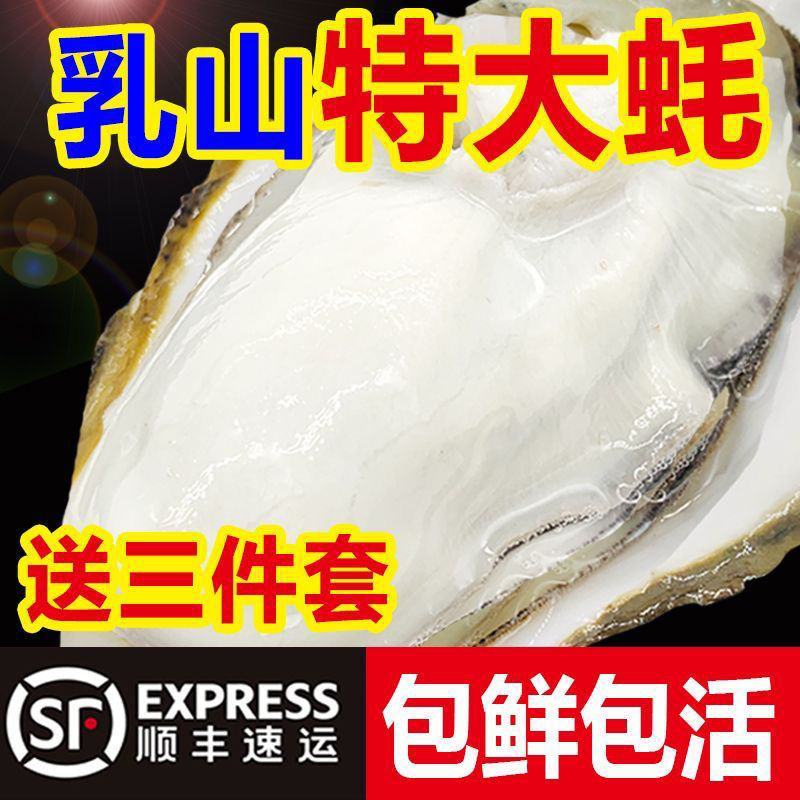 现捕乳山生蚝鲜活大牡蛎带壳贝类海蛎子鲜活海鲜水产批发5斤