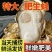 现捕乳山生蚝鲜活大牡蛎带壳贝类海蛎子鲜活海鲜水产批发5斤