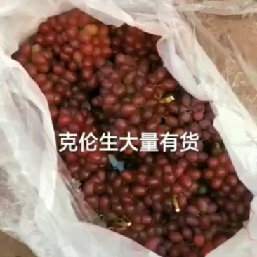 精品克伦生大量出库，