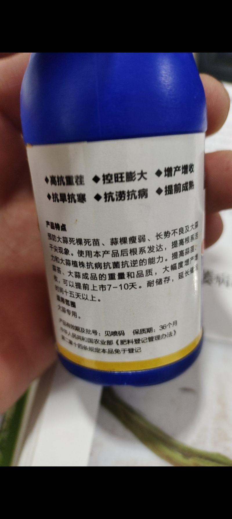 蒜喜抗重茬控旺膨大提前10天上市抗旱抗涝