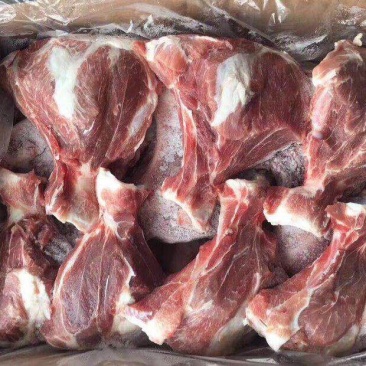扇子骨