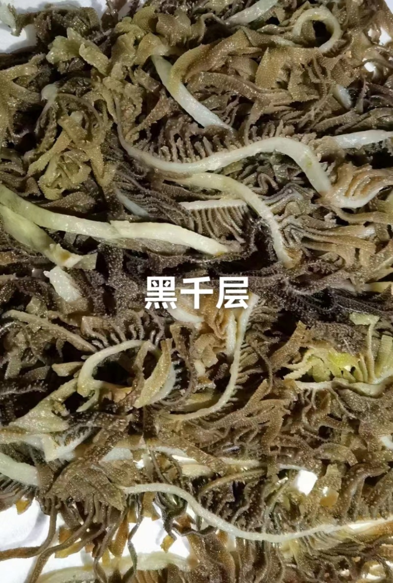 牛肚黑千层大百叶白肚规格齐全欢迎进店选购