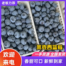 2024年青岛暖棚头茬蓝莓上市了口感脆甜品种多