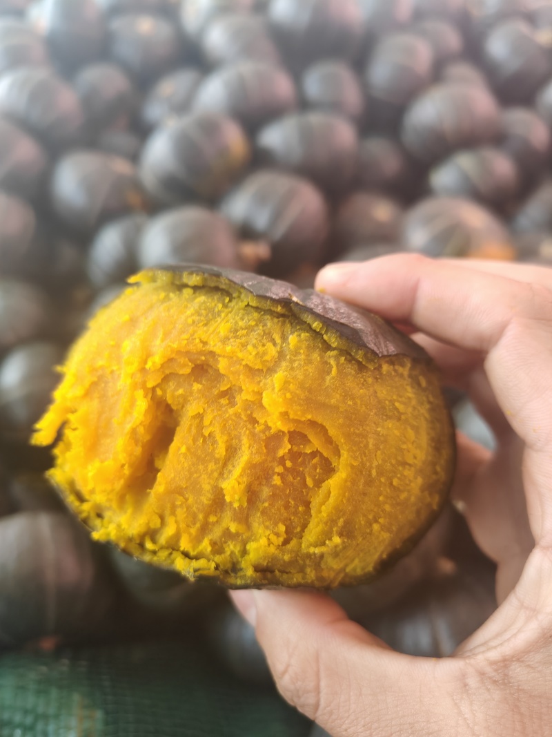 正宗贝贝板栗南瓜批发孕妇宝宝辅食新鲜蔬菜贝贝小南瓜整箱批
