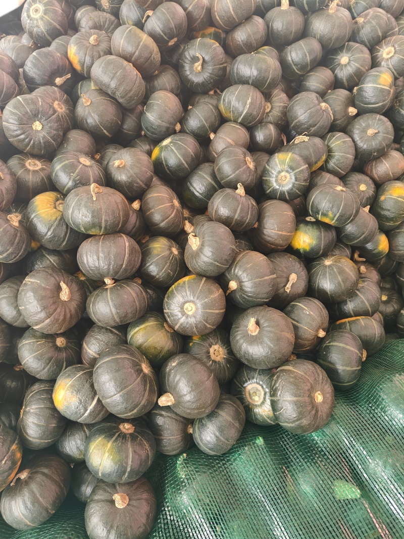 正宗贝贝板栗南瓜批发孕妇宝宝辅食新鲜蔬菜贝贝小南瓜整箱批
