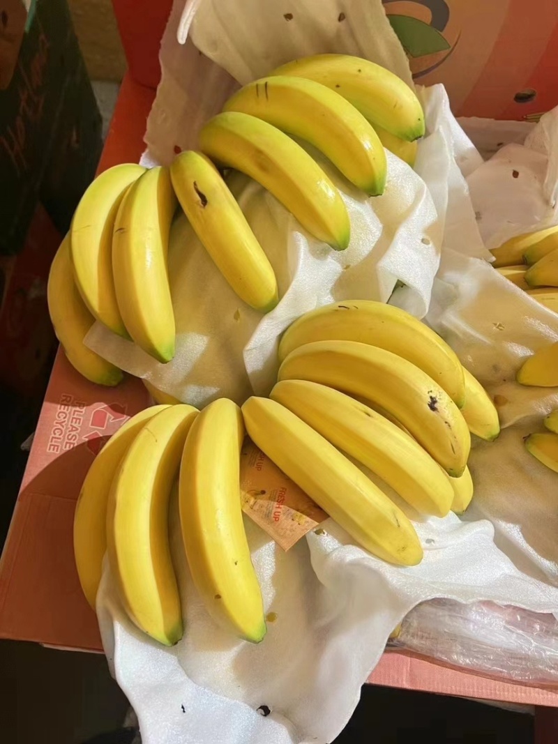 精品二黄蕉，