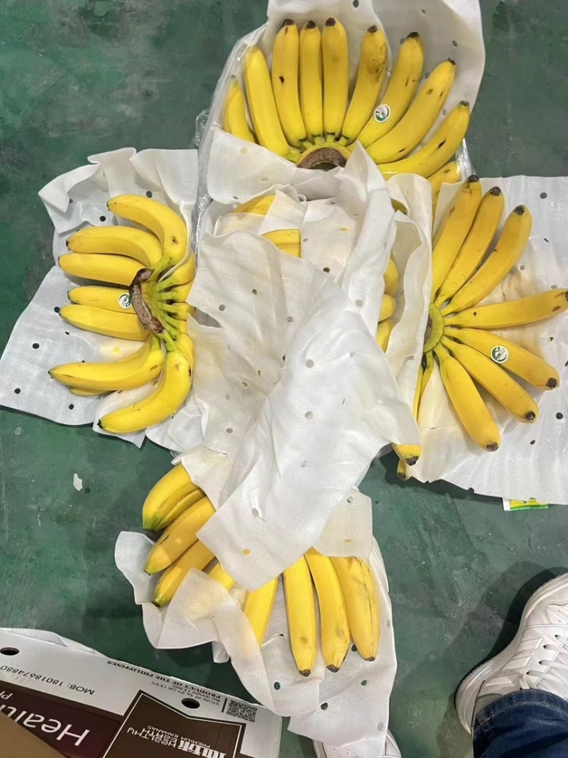 精品二黄蕉，