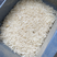 2023年纯本地晚稻19香米质白成数高
