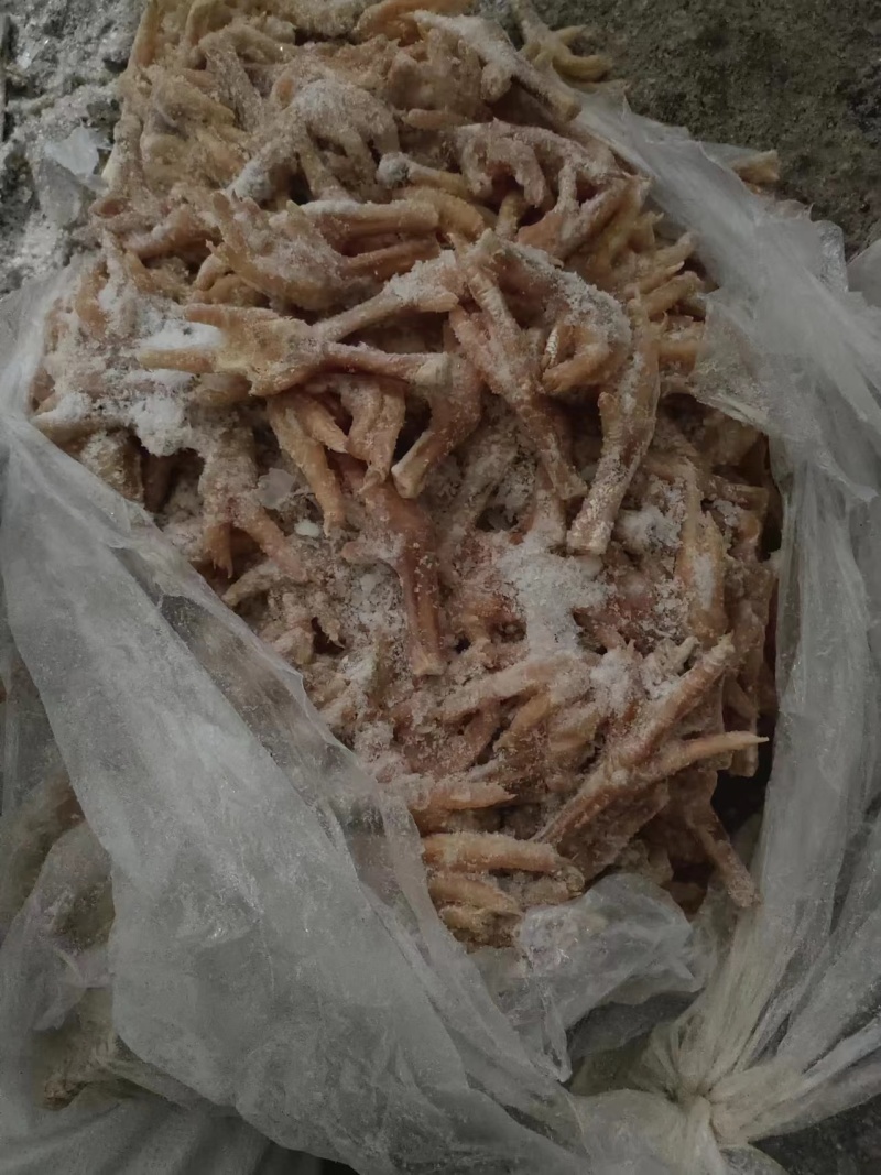 出售蛋鸡爪