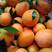 九月红果冻橙产地大量供应中，纯甜化渣水分足，电商平台社区