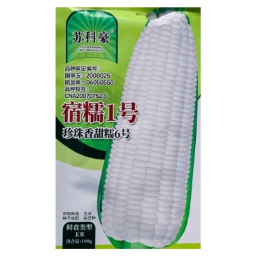 农科院国审宿糯1号鲜食白糯粘玉米种子矮杆大棒非转基因薄