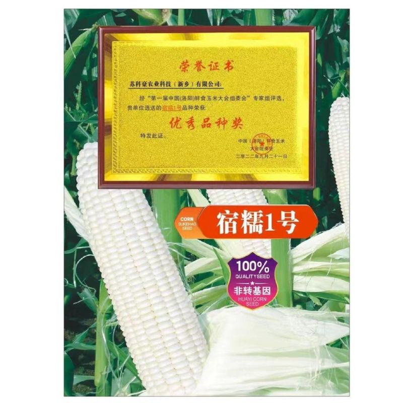 农科院国审宿糯1号鲜食白糯粘玉米种子矮杆大棒非转基因薄