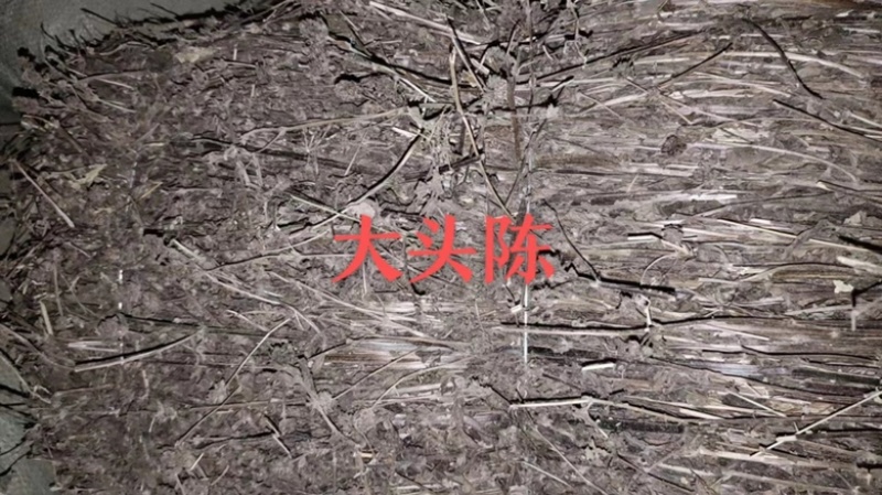 广西产野生大头陈，黑头风，可切断无杂无霉无硫来电可谈价