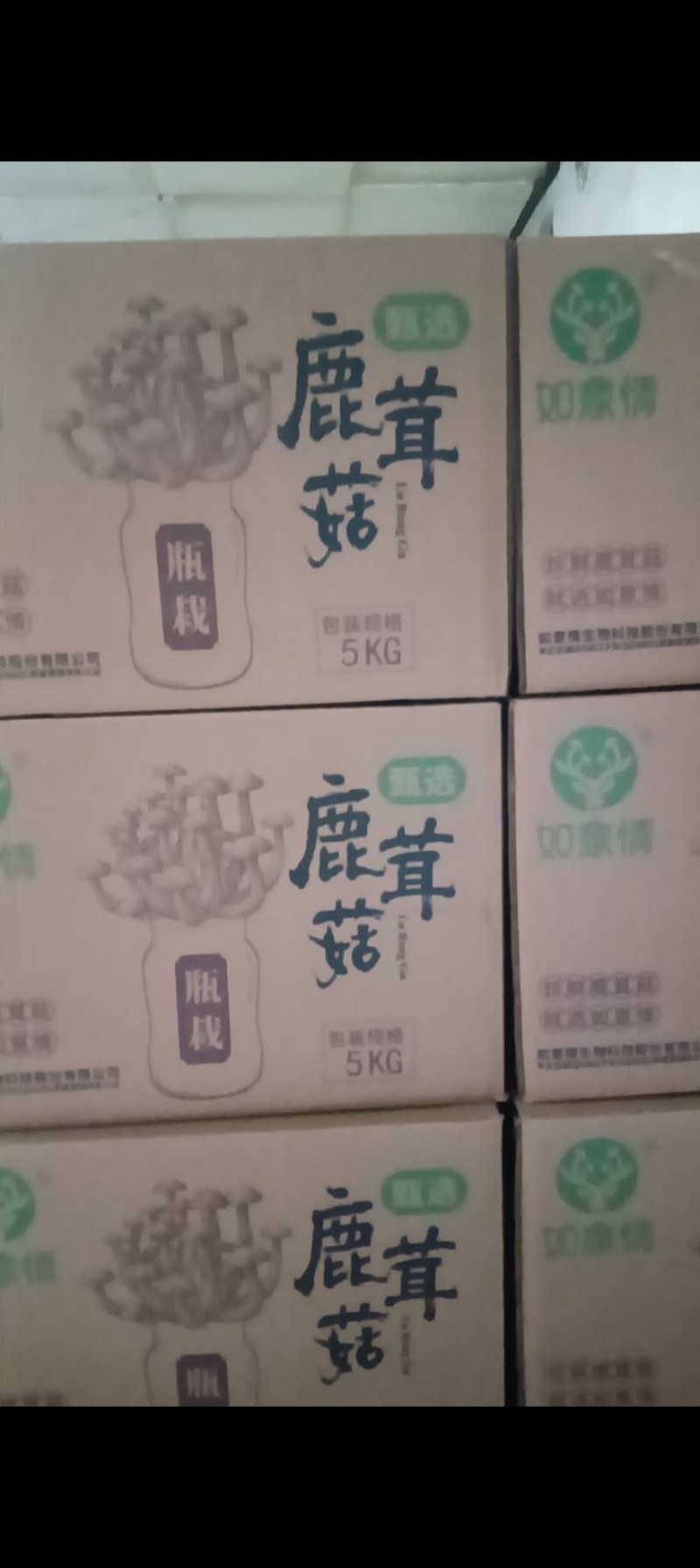 优质鹿茸菇货源充足质量保证量大从优质量保证欢迎咨询