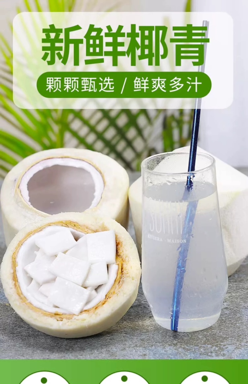海南椰青新鲜水果当季水果孕妇果现摘批发嫩青椰