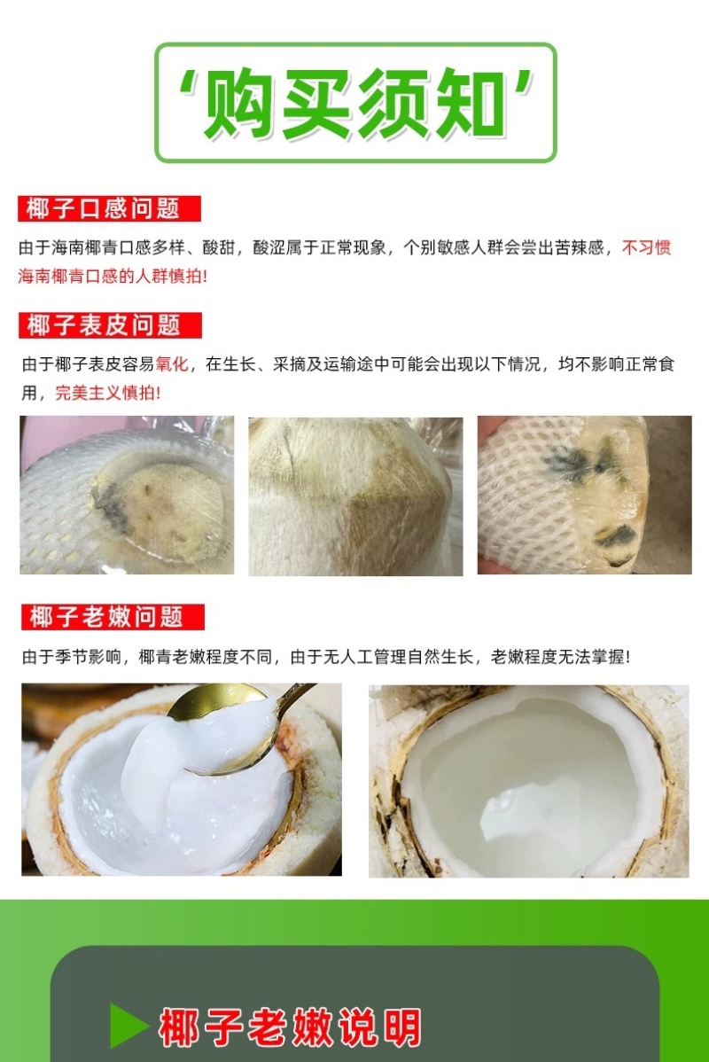 海南椰青新鲜水果当季水果孕妇果现摘批发嫩青椰