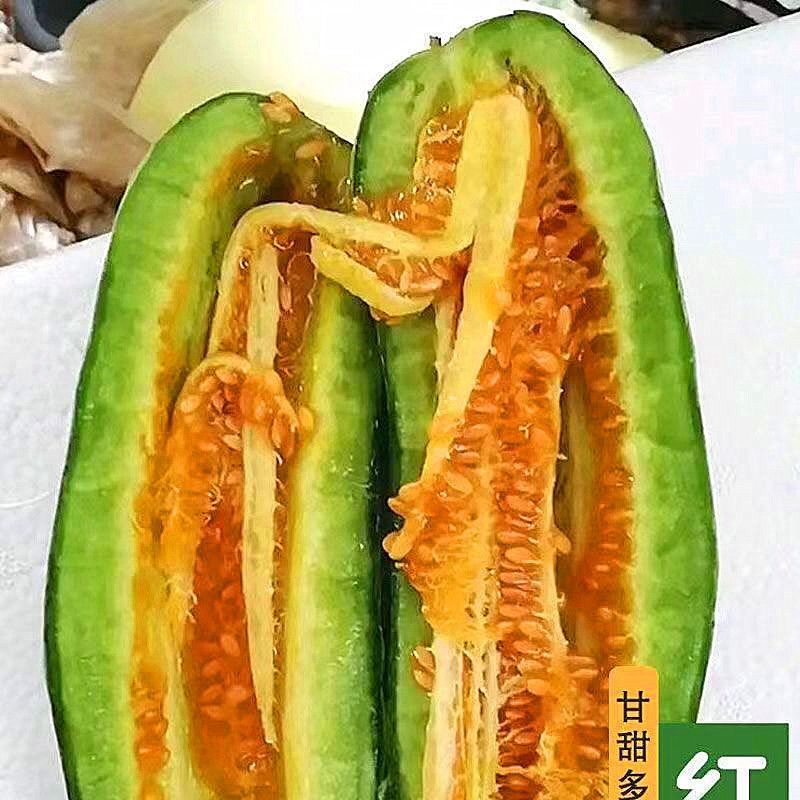 精品红瓤酥甜瓜种子红到边绿皮甜瓜种籽香甜多汁高产蔬果种籽