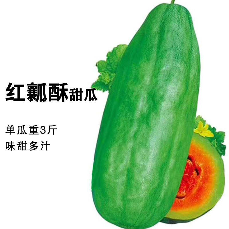 精品红瓤酥甜瓜种子红到边绿皮甜瓜种籽香甜多汁高产蔬果种籽