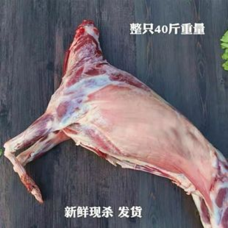 甘肃山丹草膘羊肉，育肥羊肉，现宰现杀，肉质细腻，欢迎致电