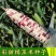拖车头苏科糯1803甜彩糯玉米种子春秋播种鲜食糯玉米种籽