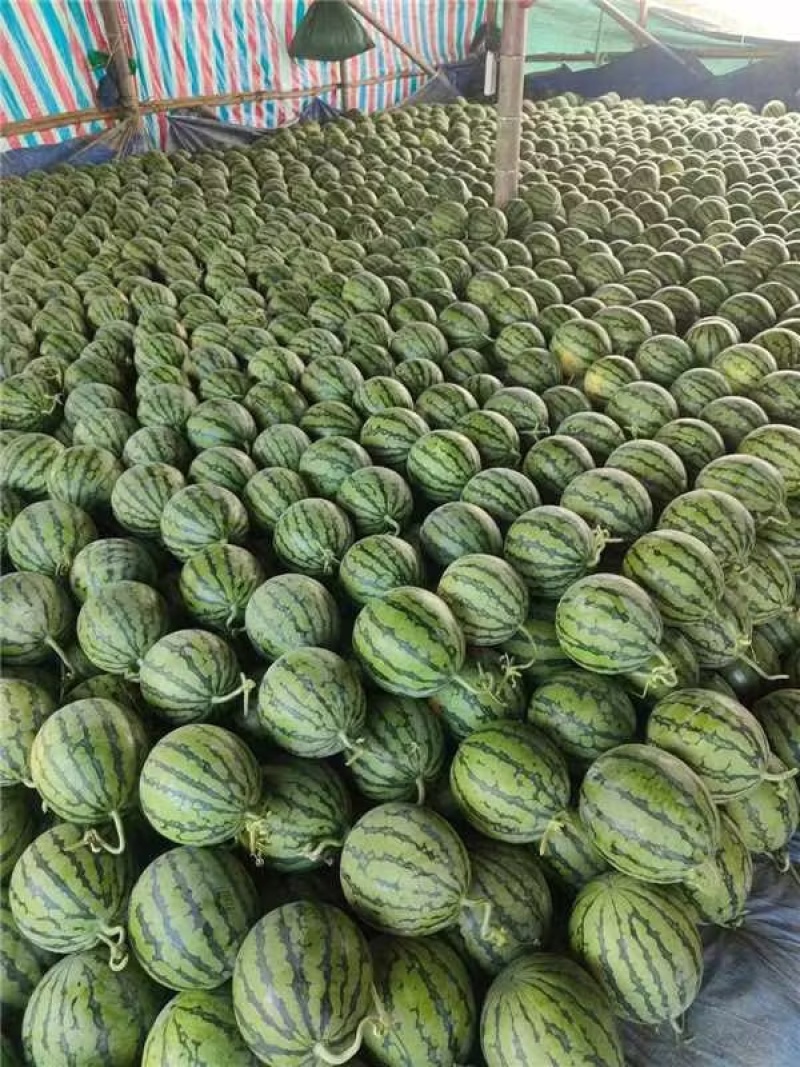 麒麟瓜大量上市云南产地直发品质保证欢迎进店选购